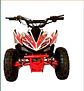 CUATRIMOTO RAPTOR 49CC - Miniatura 2