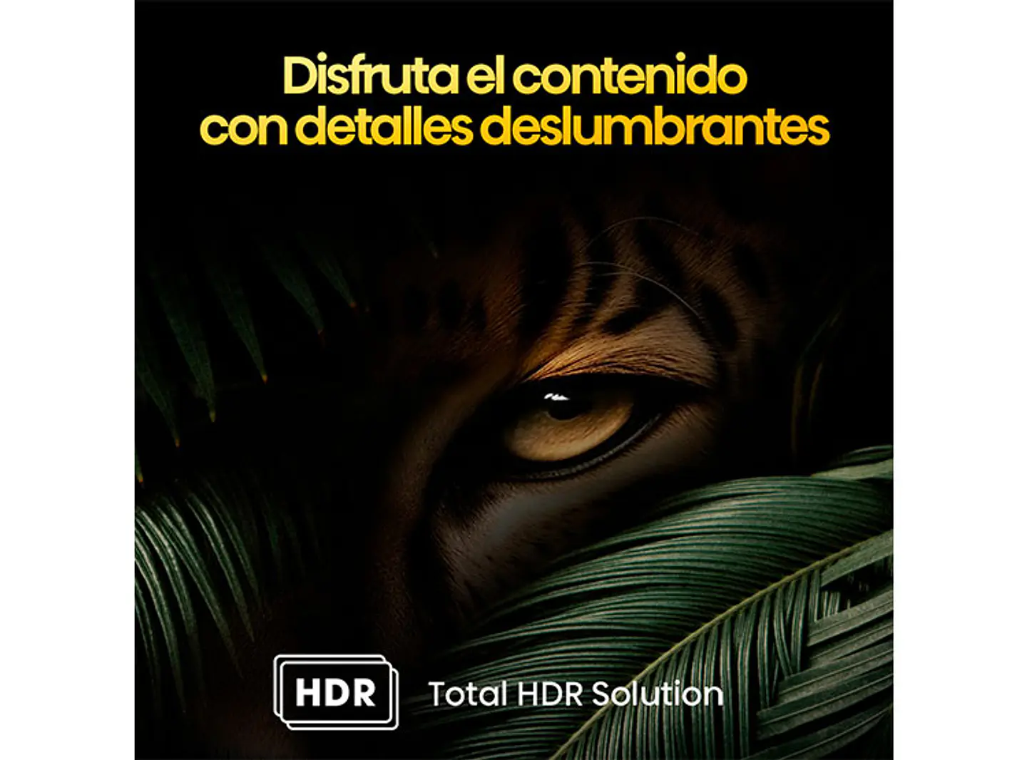 SMART TV HISENSE QLED UHD 4K 85