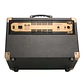 AMPLIFICADOR DE GUITARRA PEAVEY ECOUSTIC E 110 - Miniatura 2
