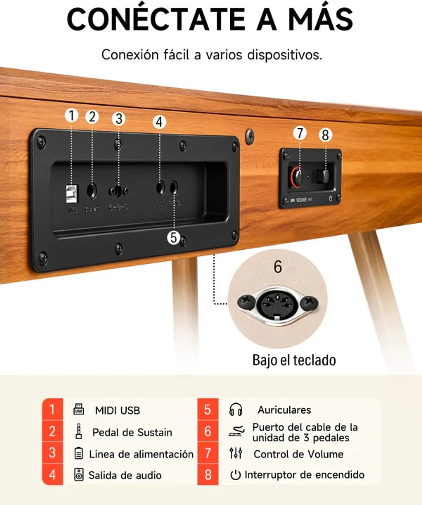 PIANO DIGITAL DONNER DDP80, 88 TECLAS, MADE IN MÉXICO 2