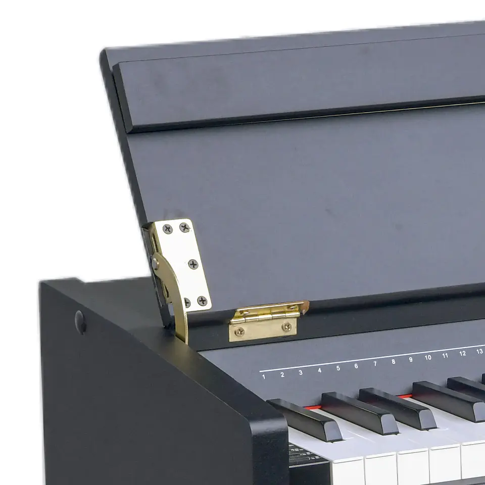 PIANO ZIMMER DIGITAL ZIM-2100-WDN 3