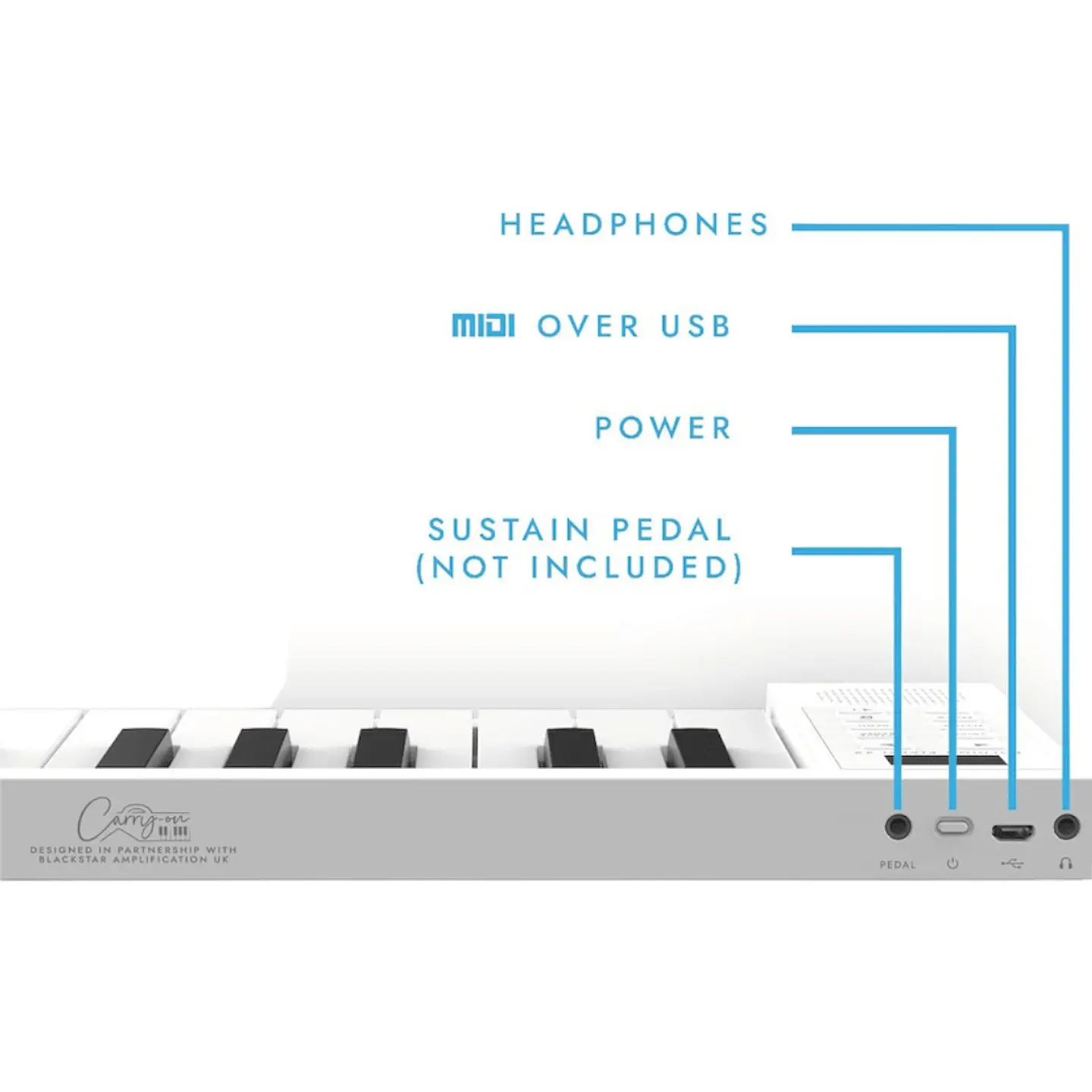 TECLADO PLEGABLE CARRY ON DONNER FP49, MADE IN MÉXICO 2