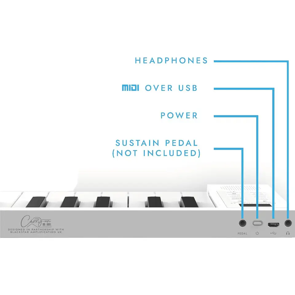TECLADO PLEGABLE CARRY ON DONNER FP49, MADE IN MÉXICO 2