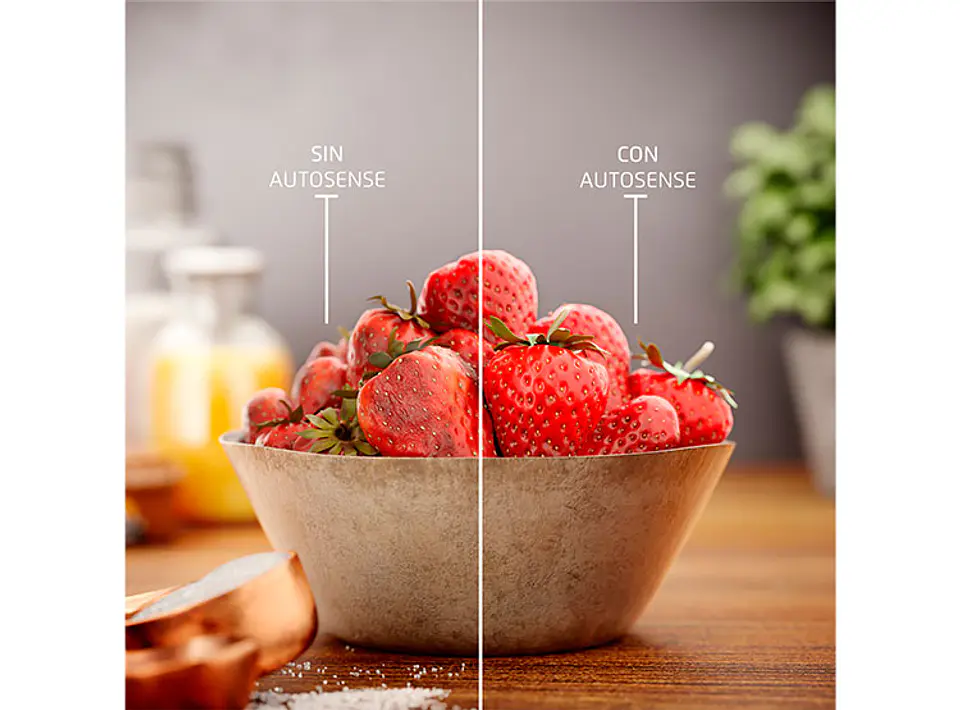 REFRIGERADOR FENSA BOTTOM FREEZER NO FROST 355 L TWIN RTI4S 10