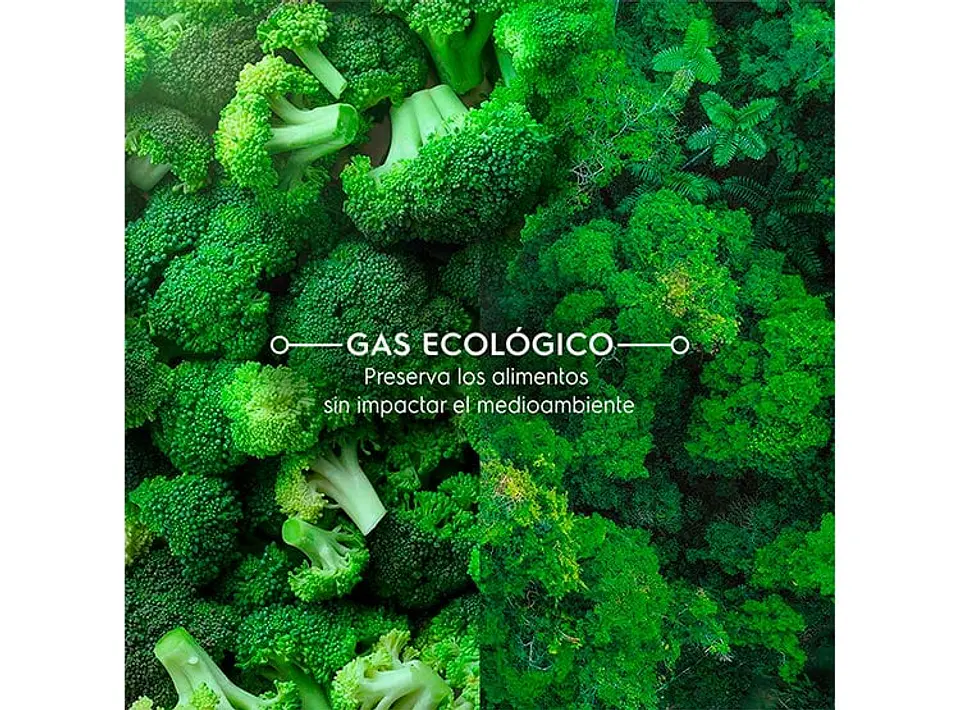 REFRIGERADOR BOTTOM FREEZER MADEMSA 285 L NO FROST MI60S 8