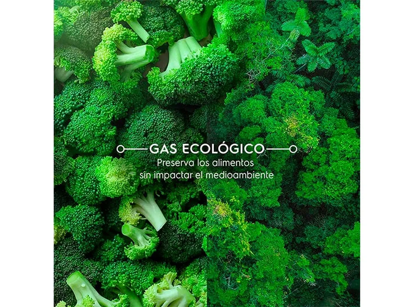 REFRIGERADOR BOTTOM FREEZER MADEMSA 285 L NO FROST MI60B 8