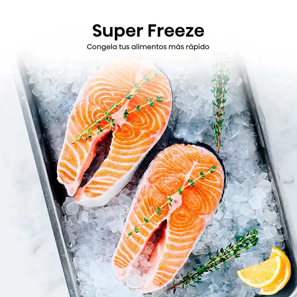 REFRIGERADOR HISENSE BOTTOM FREEZER NO FROST 300 L RD-39WC 8