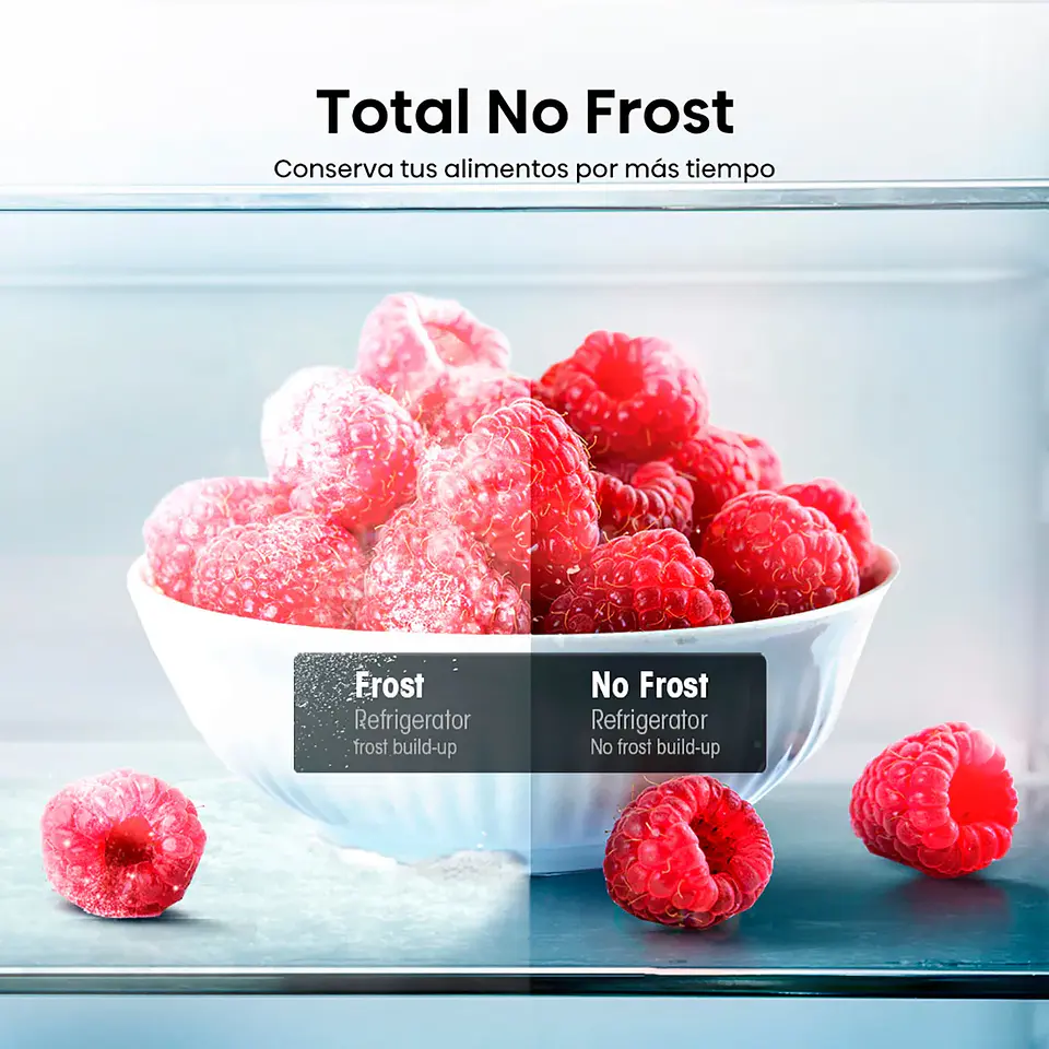 REFRIGERADOR HISENSE TOP MOUNT FREEZER NO FROST 324 L RD-42WR 8