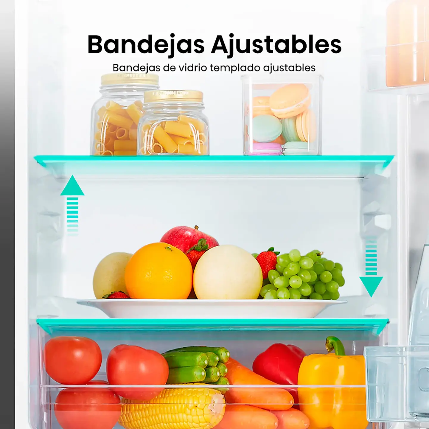 REFRIGERADOR HISENSE BOTTOM FREEZER FROST FRÍO DIRECTO 165 L RB215NR ROJO 6