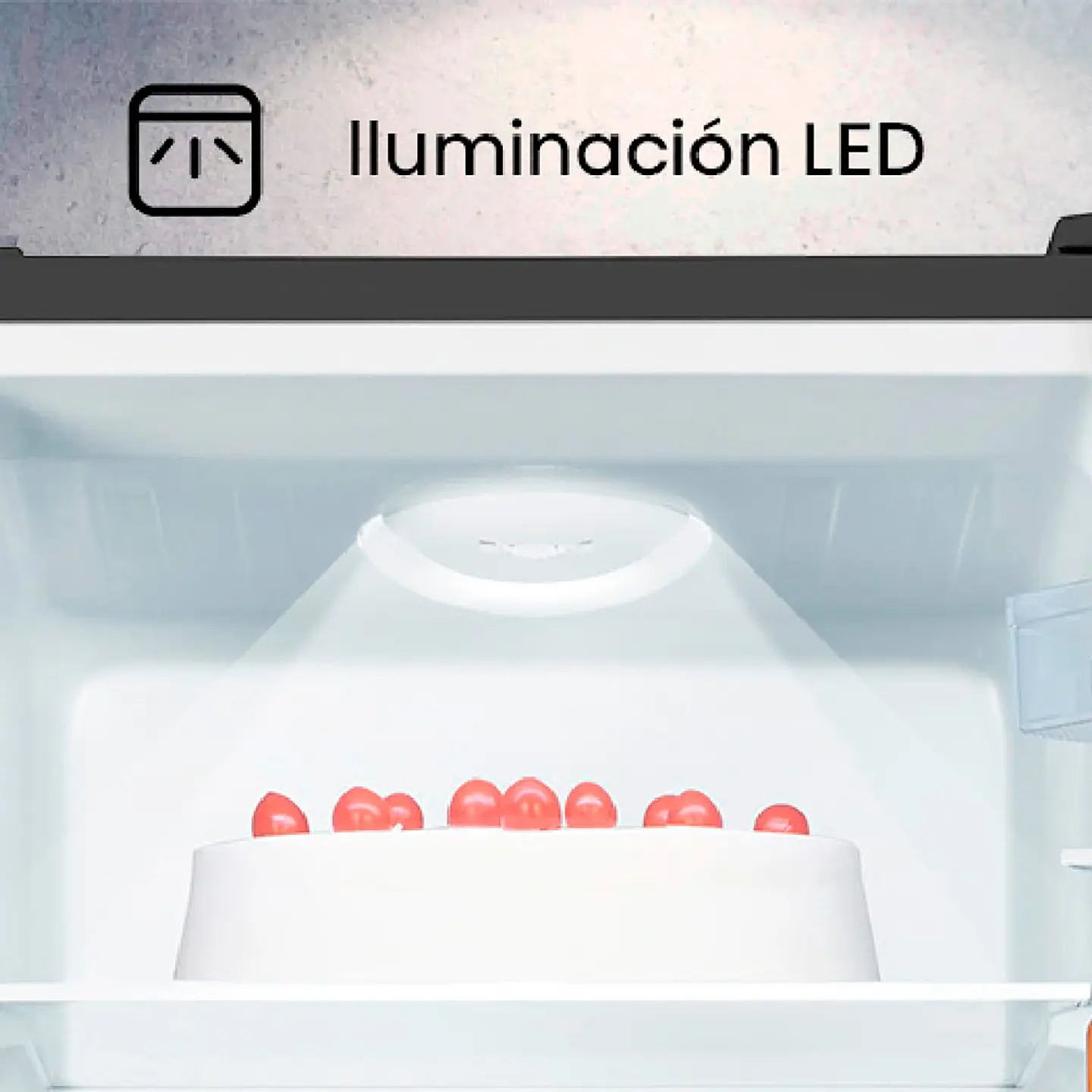 REFRIGERADOR HISENSE BOTTOM FREEZER FROST FRÍO DIRECTO 165 L RB215NR ROJO 7