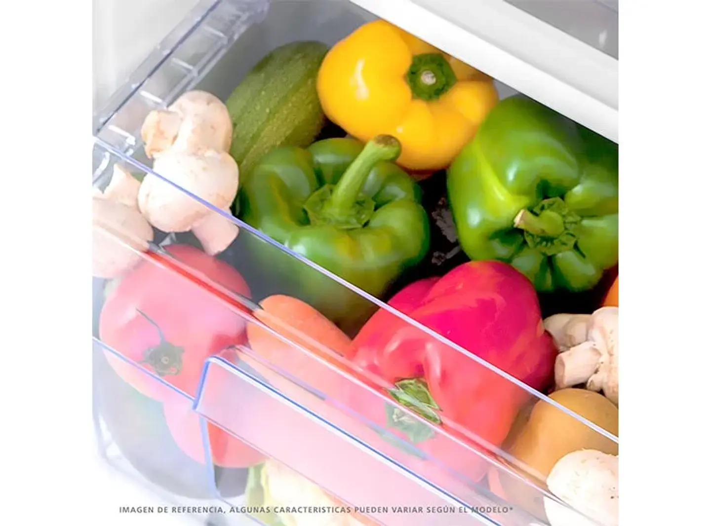 REFRIGERADOR BOTTOM FREEZER MABE 154 L FRIO DIRECTO RMB176PXLCX0 6