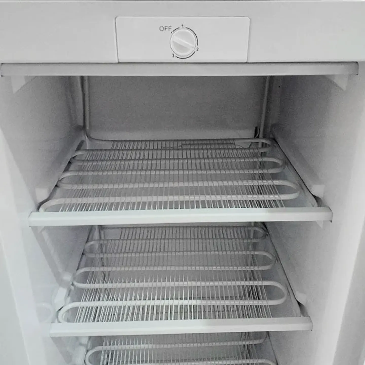  CONGELADOR VERTICAL BD-180 ELECSTAR 5