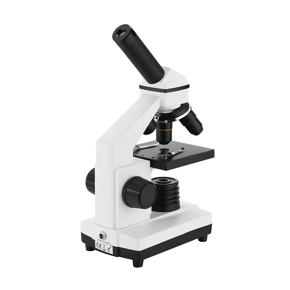 MICROSCOPIO EDUCATIVO 4