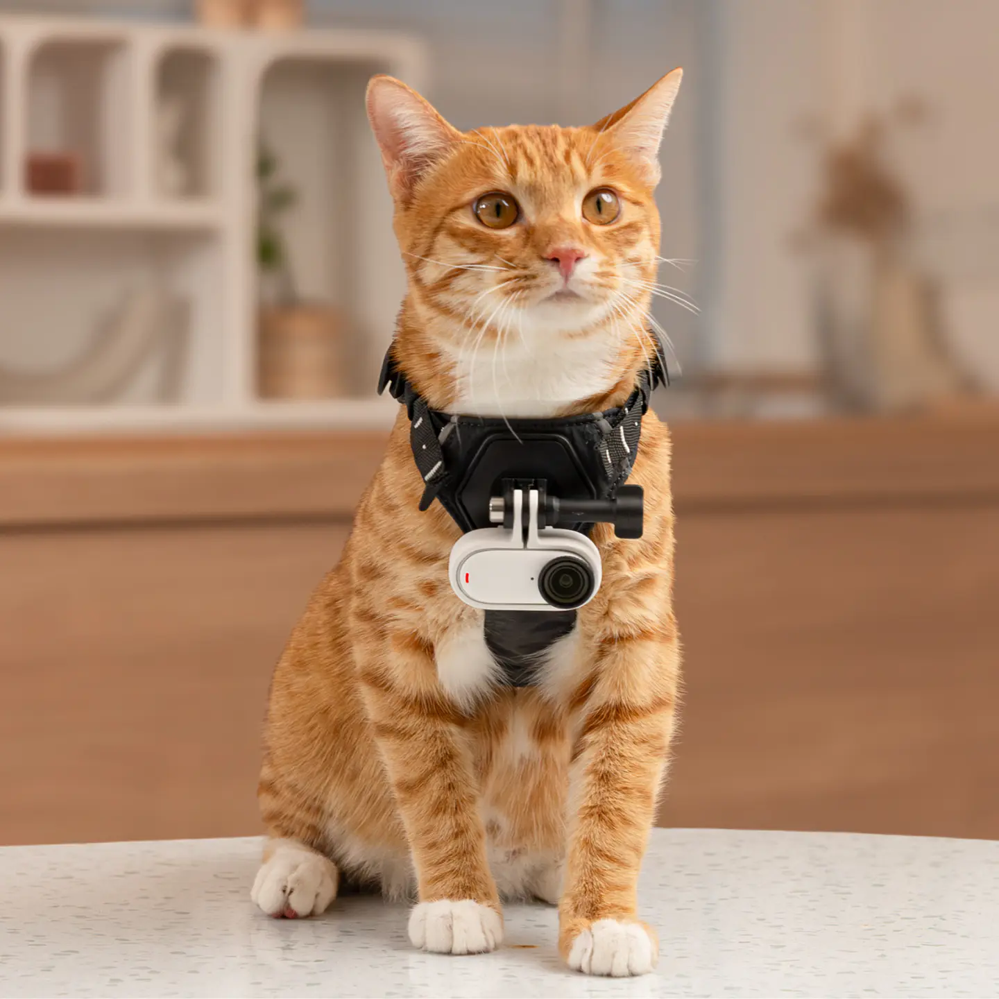 CÁMARA INSTA360 GO 3S 64GB - BLANCA 8