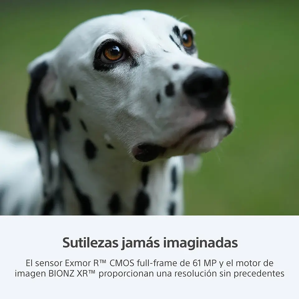 CAMARA HIGH RES FULL FRAME ILCE-7RM5 8