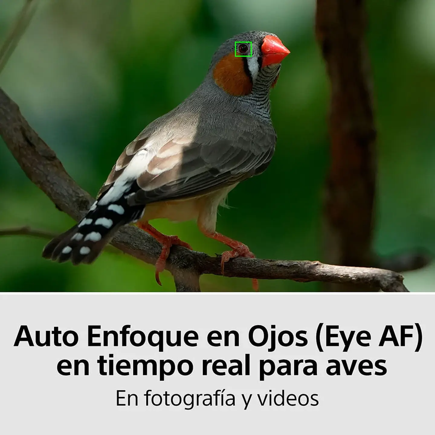 CAMARA FULL FRAME ILCE-7M4K CON LENTE SEL2870 | NEGRO 7