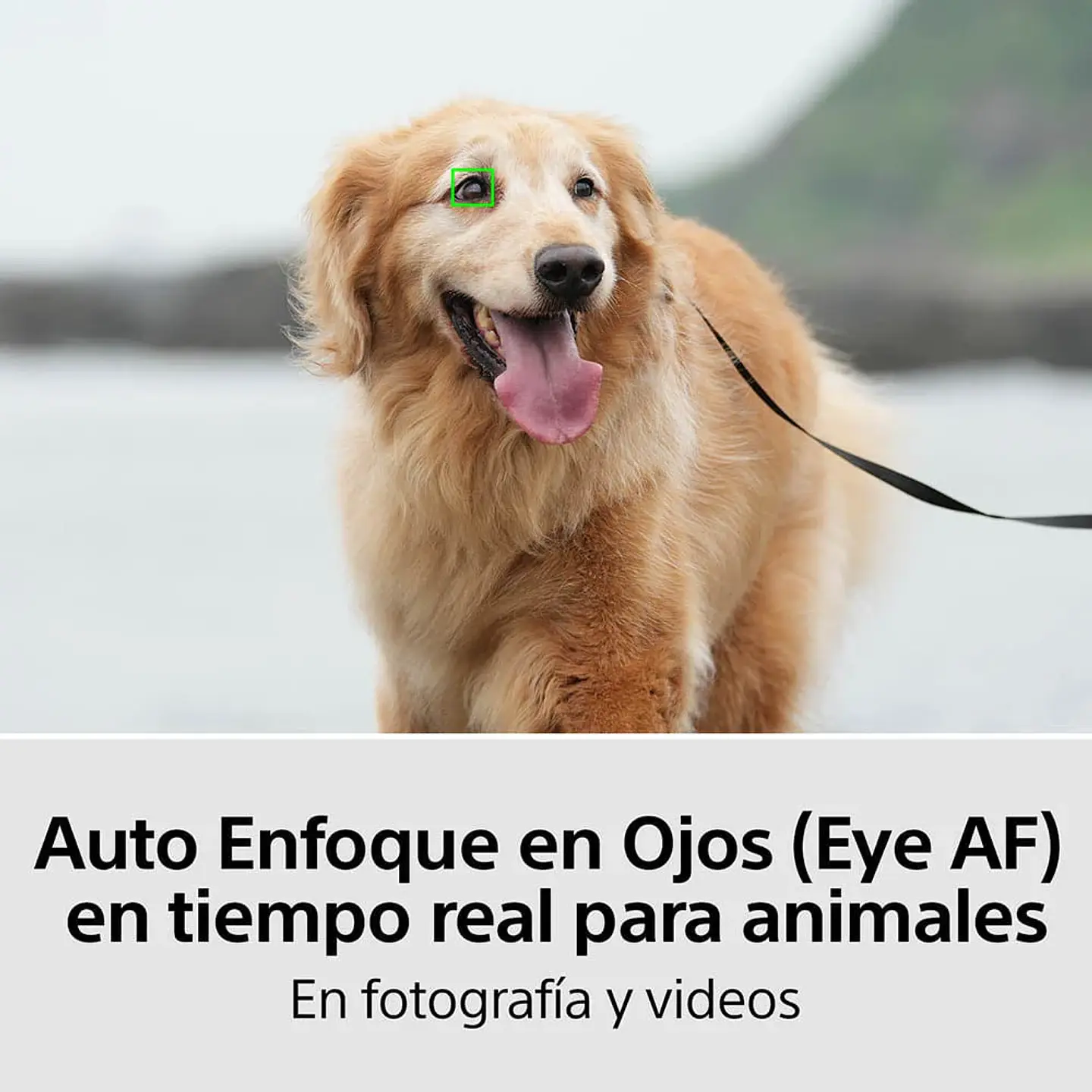 CAMARA FULL FRAME ILCE-7M4K CON LENTE SEL2870 | NEGRO 8