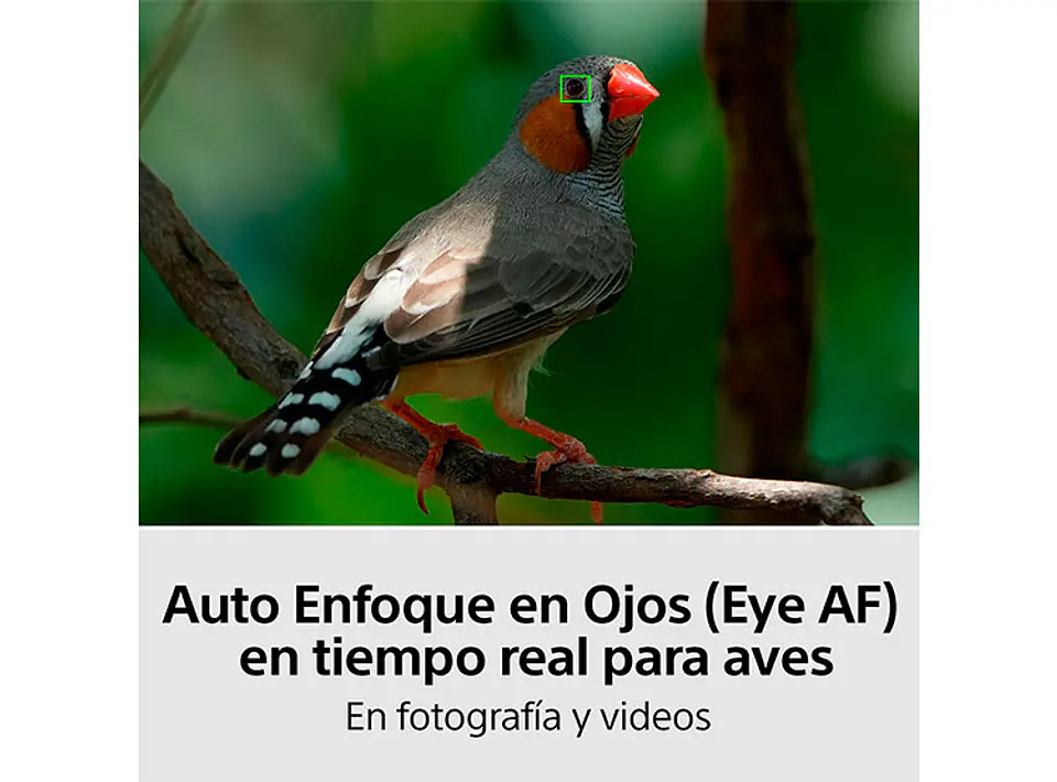 CAMARA HÍBRIDA SONY ILCE-7M4K FULL-FRAME ALPHA 7 IV 6