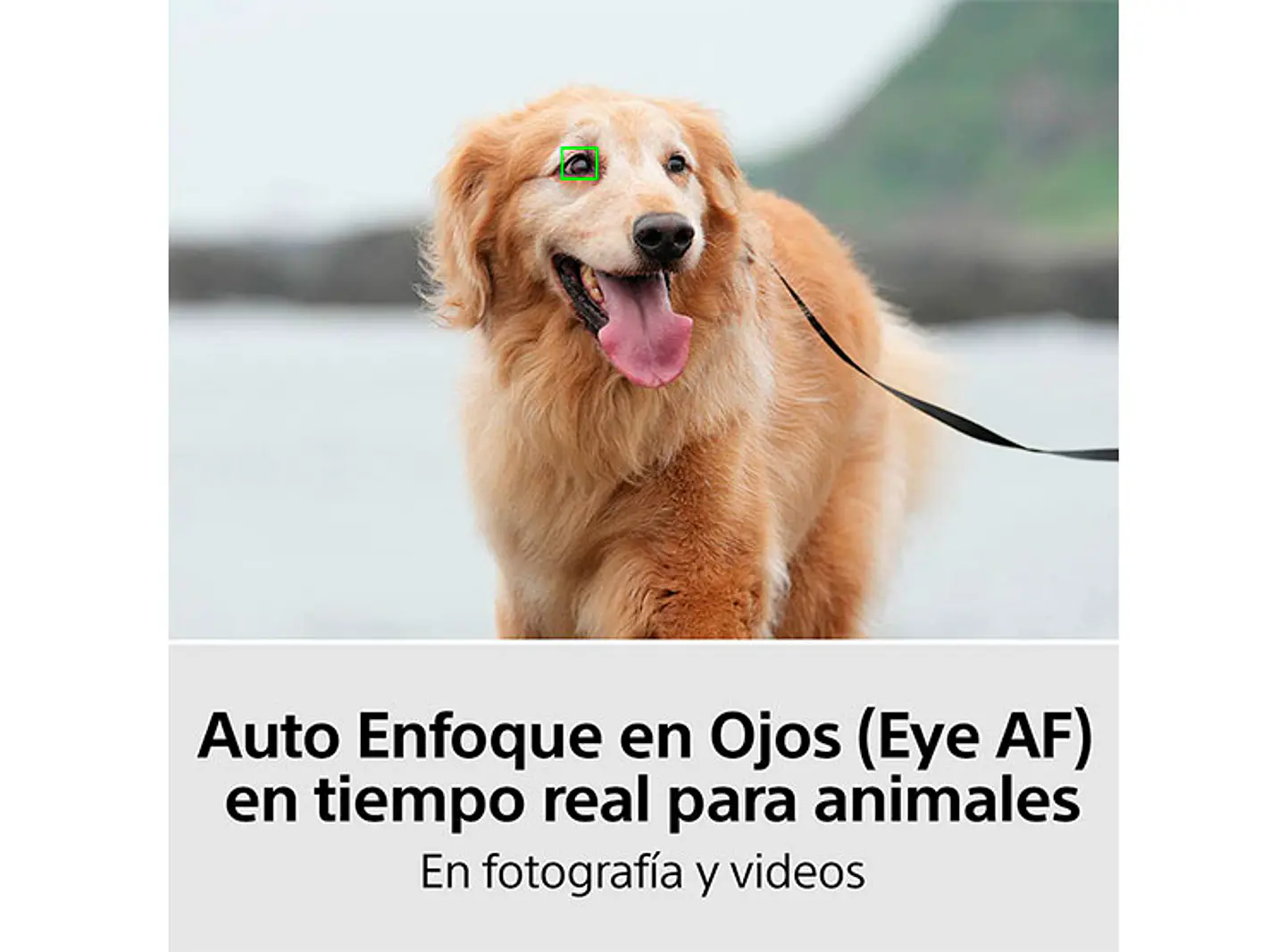 CAMARA HÍBRIDA SONY ILCE-7M4K FULL-FRAME ALPHA 7 IV 7