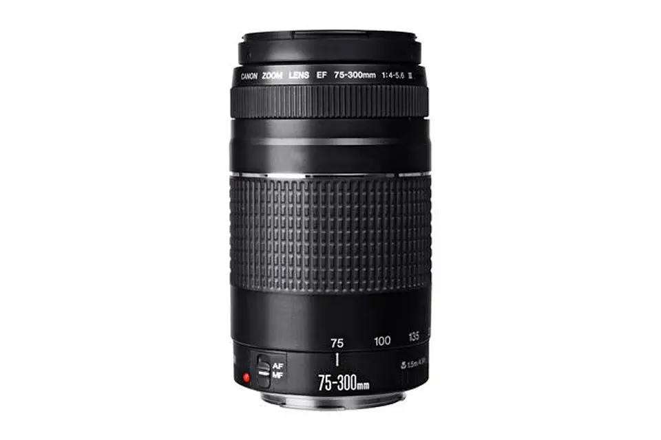 CANON EOS REBEL T100 PREMIUM KIT 4