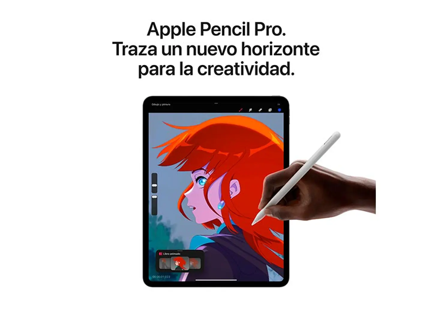 IPAD PRO 13