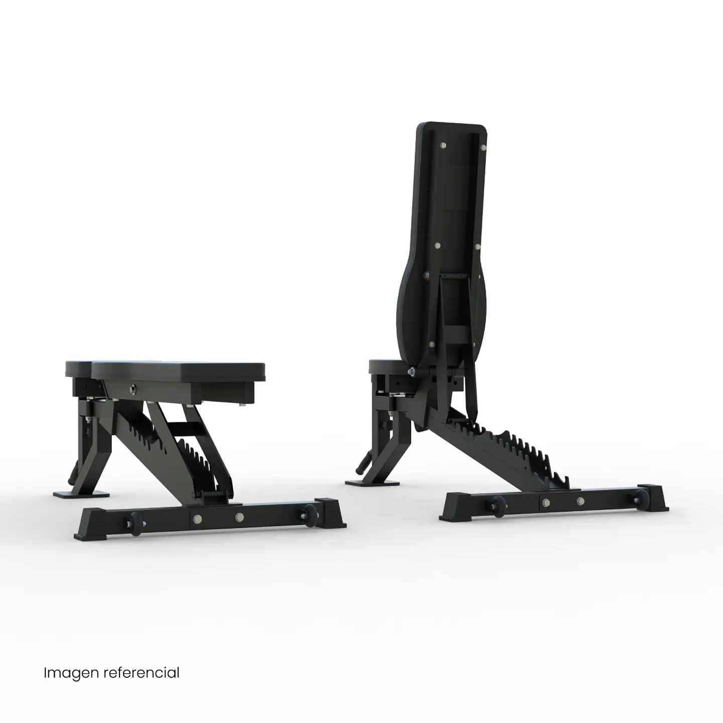 Banco Regulable Multifuncional B814 ZR Series | PROmachine 4