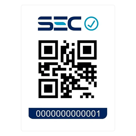 BORDADORA Y MAQUINA DE COSER 10X10 NV970L WIFI