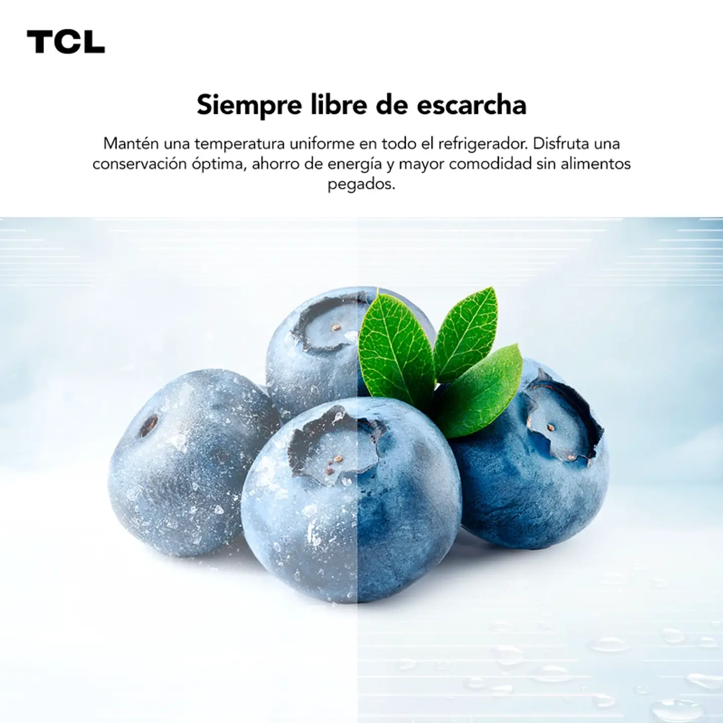  REFRIGERADOR SIDE BY SIDE TCL 488L P520SBS 6