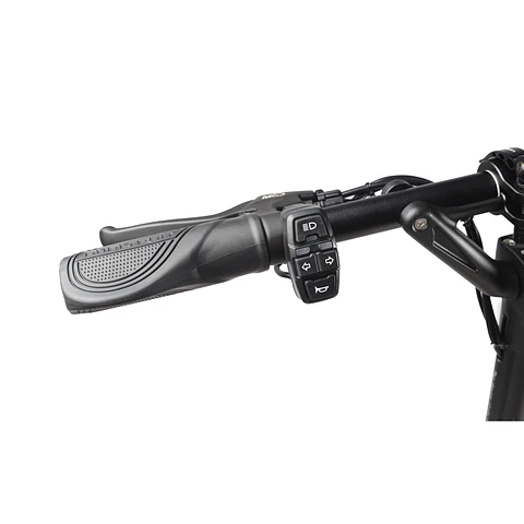 SCOOTER ELÉCTRICO DUALTRON AMINIA LONG BODY