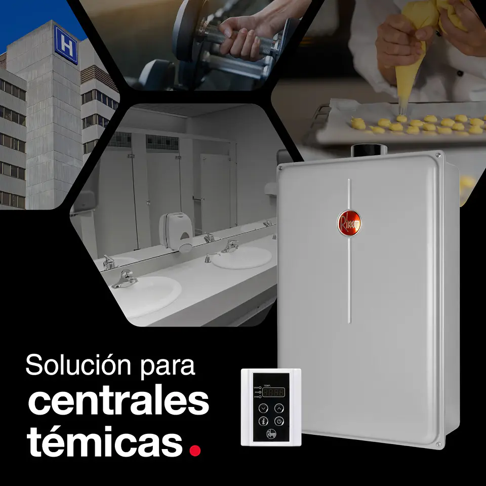 CALEFONT 28 LITROS GAS LICUADO TIRO FORZADO RHEEM 4