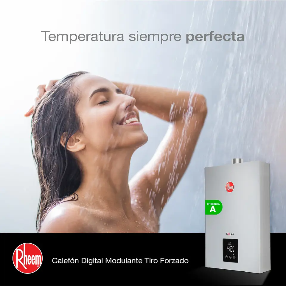 CALEFONT A GAS NATURAL 16 L RHEEM TIRO FORZADO 4