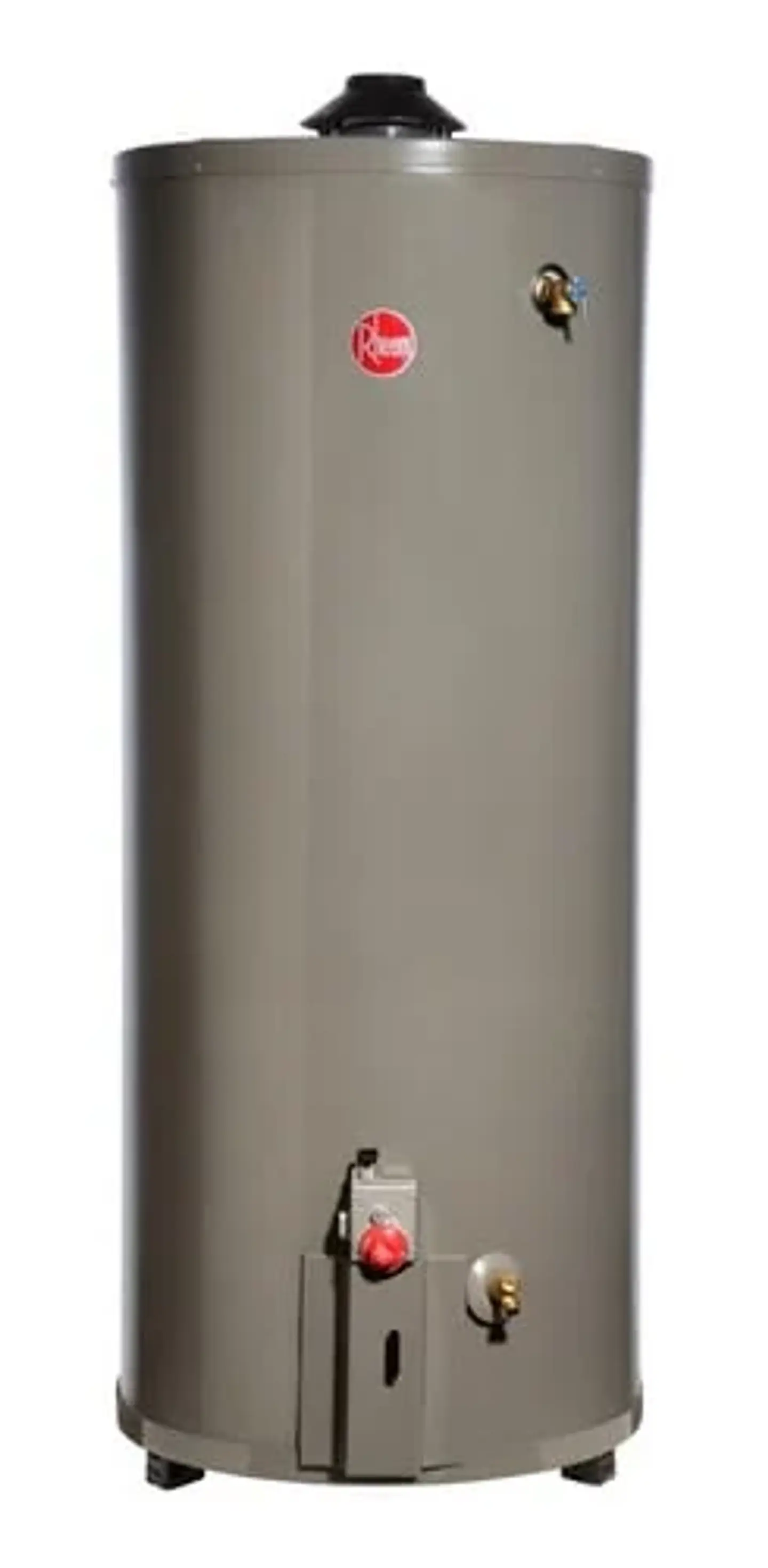 TERMO A GAS NATURAL RHEEM 114 LITROS 1