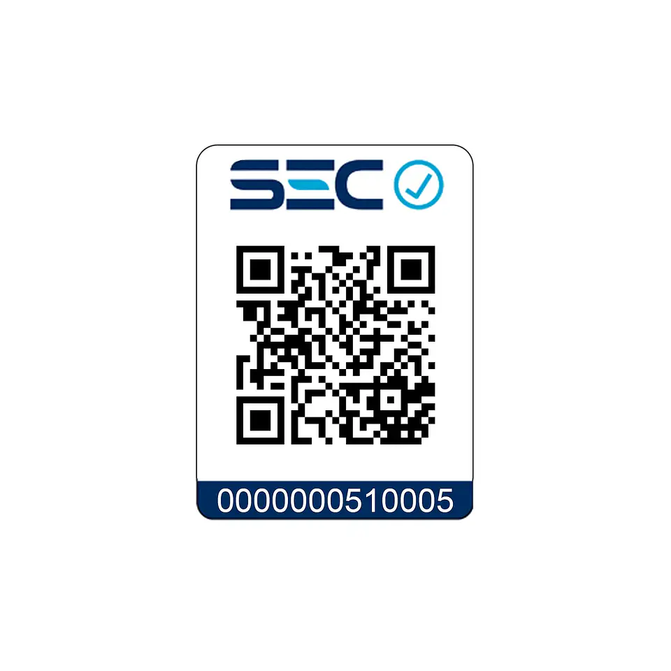 TERMO ELÉCTRICO ATLANTIC STEATITE 100 LITROS 2