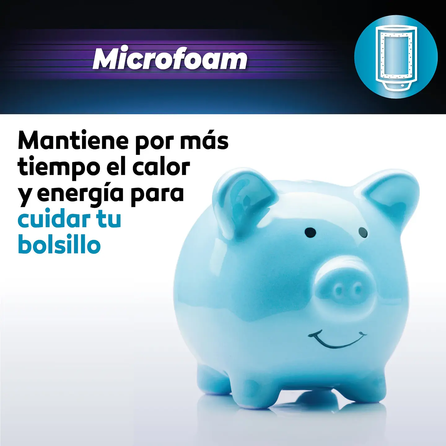 TERMO ELÉCTRICO SPLENDID MURAL 80 LITROS 8