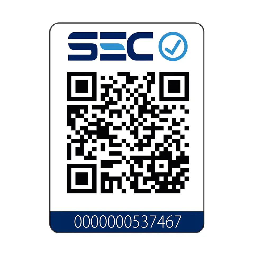 ESTUFA A LEÑA PATAGONIA 600 GRIS 2