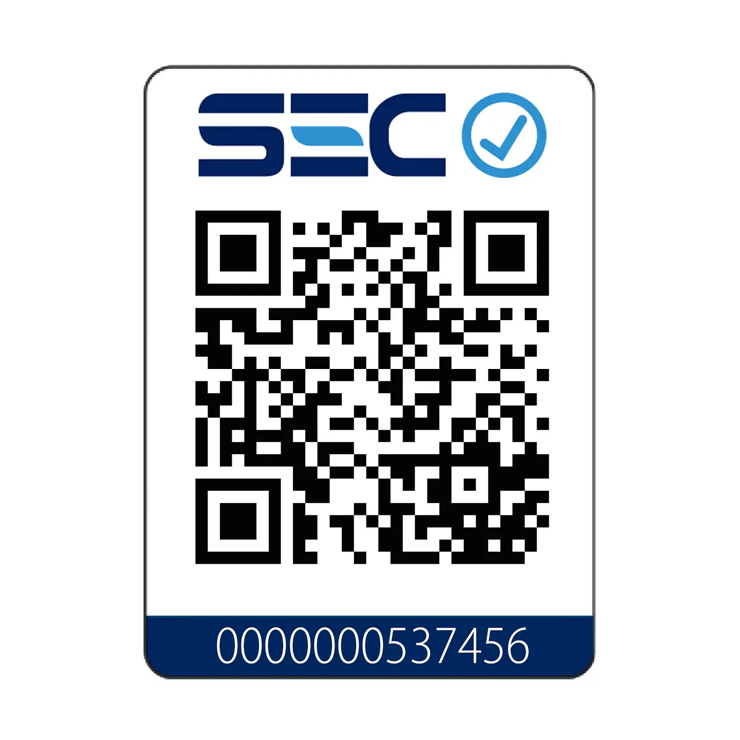 ESTUFA A LEÑA PATAGONIA 380 BURDEO 2