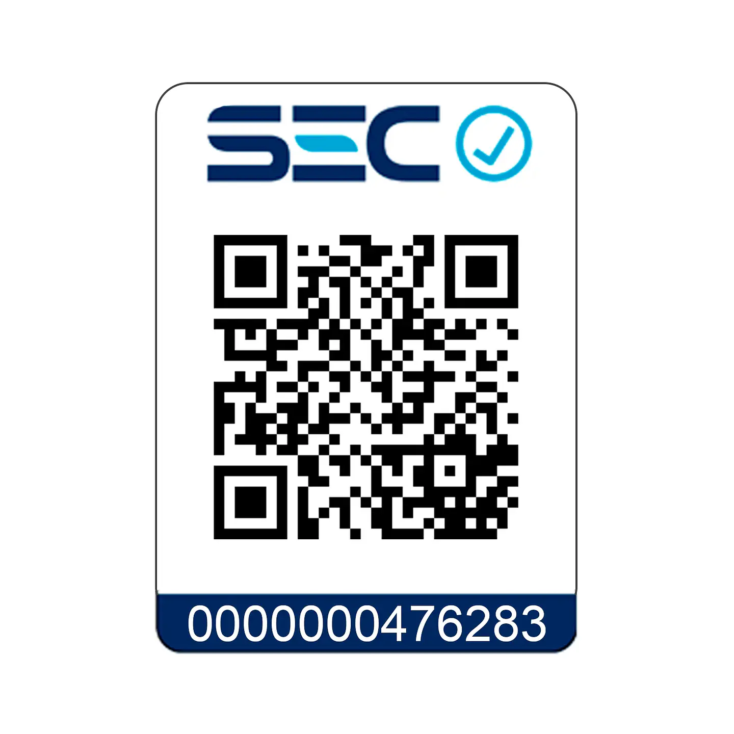 PACK CALEFACTOR A LEÑA ECO 360 + KIT DE INSTALACIÓN 2