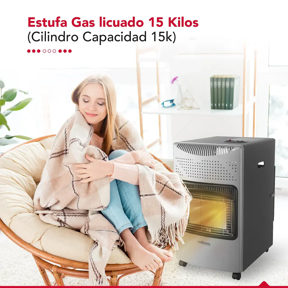 ESTUFA GAS 15L THOR GL 15K PLATEADA 4