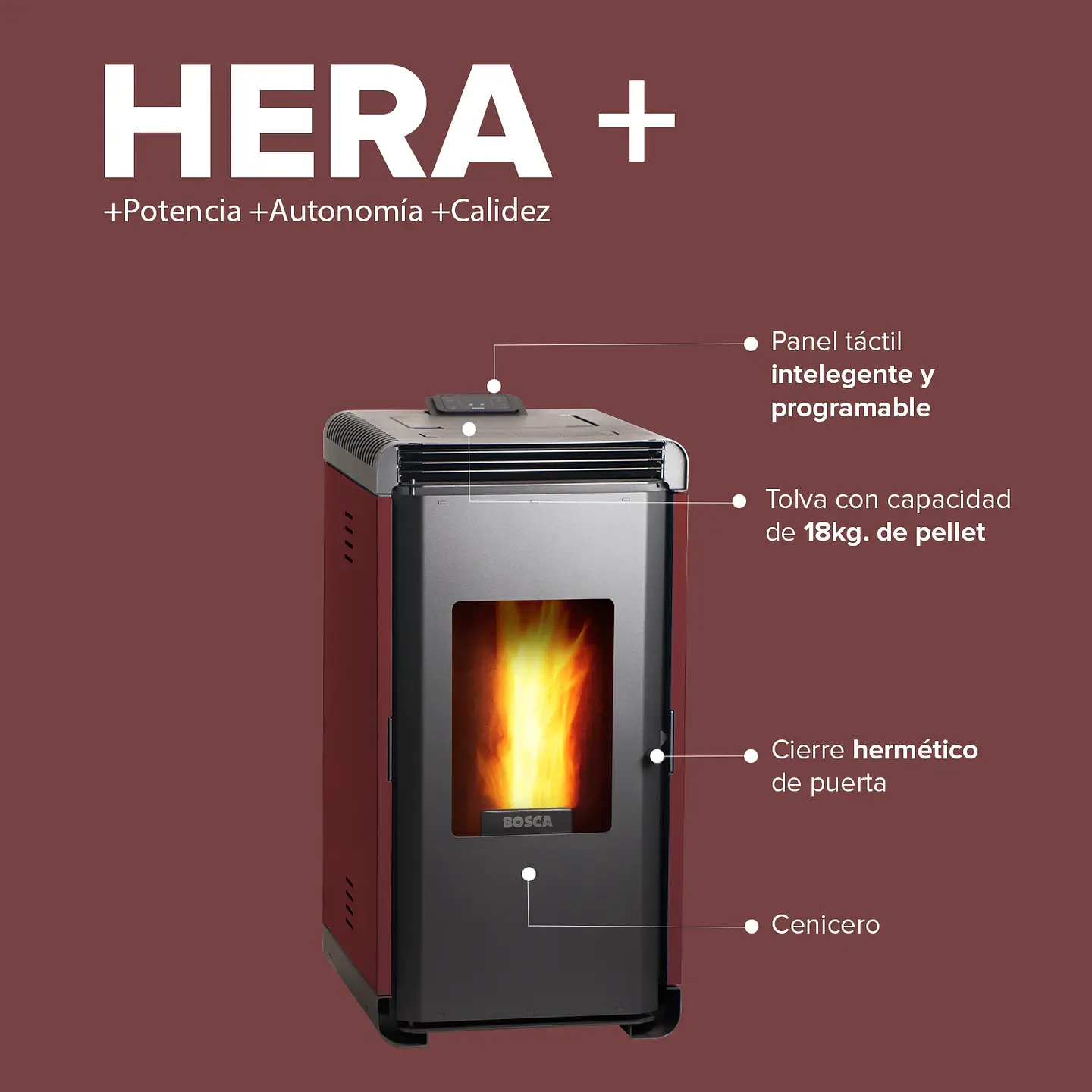 CALEFACTOR BOSCA A PELLET HERA + BURDEO 6