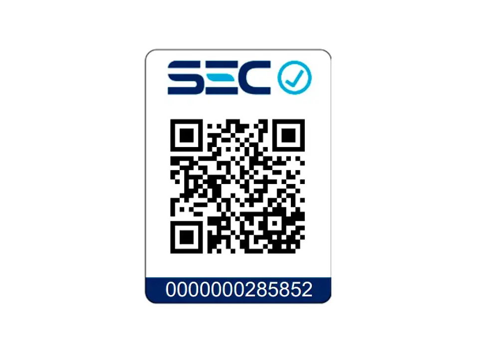 ASPIRADORA TRINEO ELECTROLUX EAS30  MYSTIQUE 2