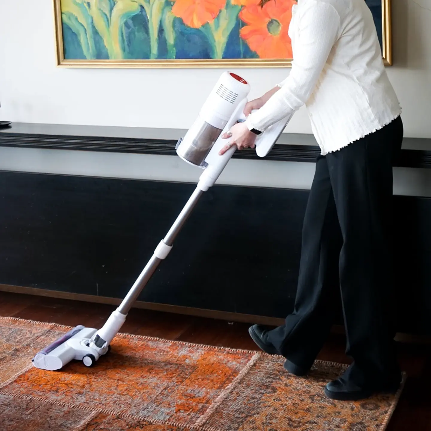 ASPIRADORA VERTICAL INALÁMBRICA D300 PLUS - 650W 6