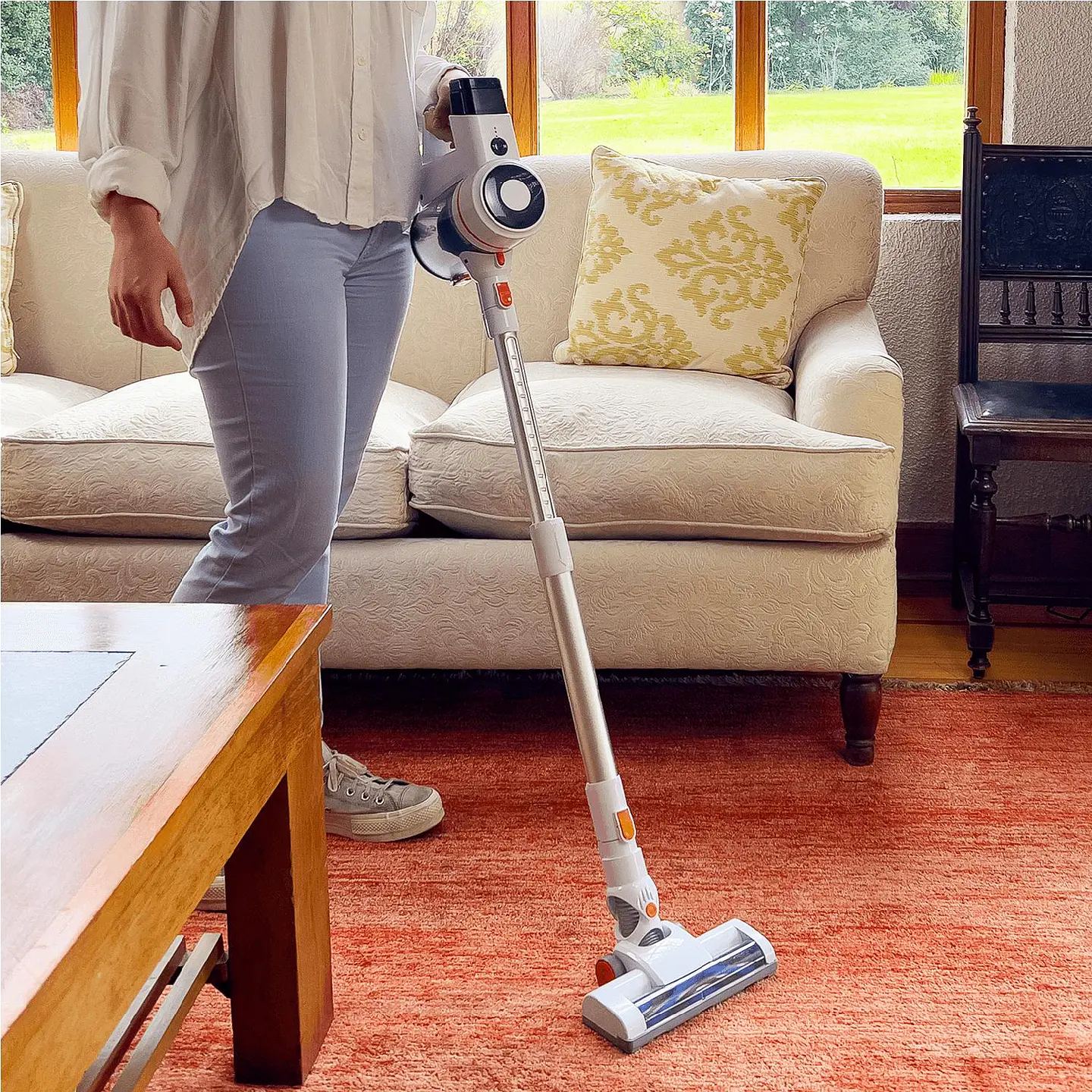 ASPIRADORA INALÁMBRICA VX-100 6