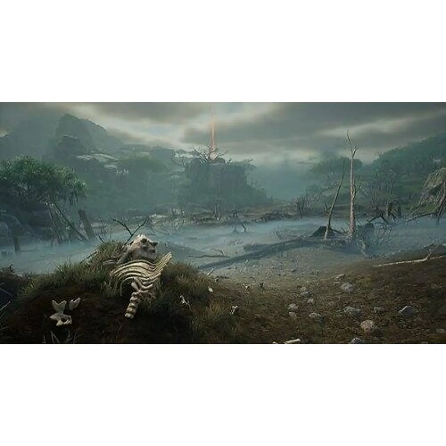 JUEGO XBOX SERIES X / S THQ NORDIC GAMES DESTERRADO UNA NUEVA COMIENZO EDICIÓN ADELPHA 2