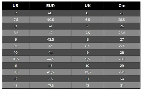 ZAPATILLA JORDAN 1 LOW BRED TOE