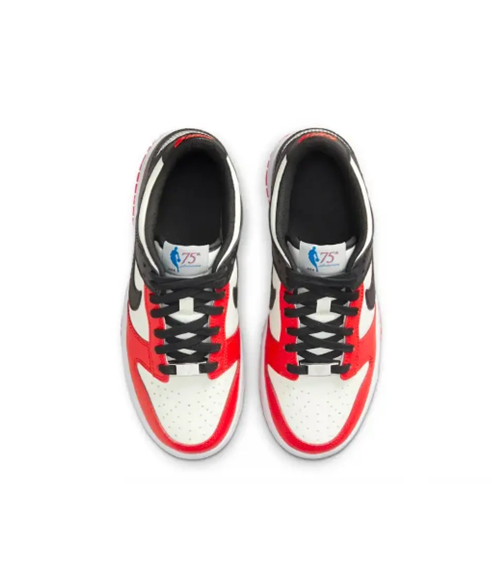 ZAPATILLAS NIKE DUNK LOW X NBA CHICAGO JUVENIL 3