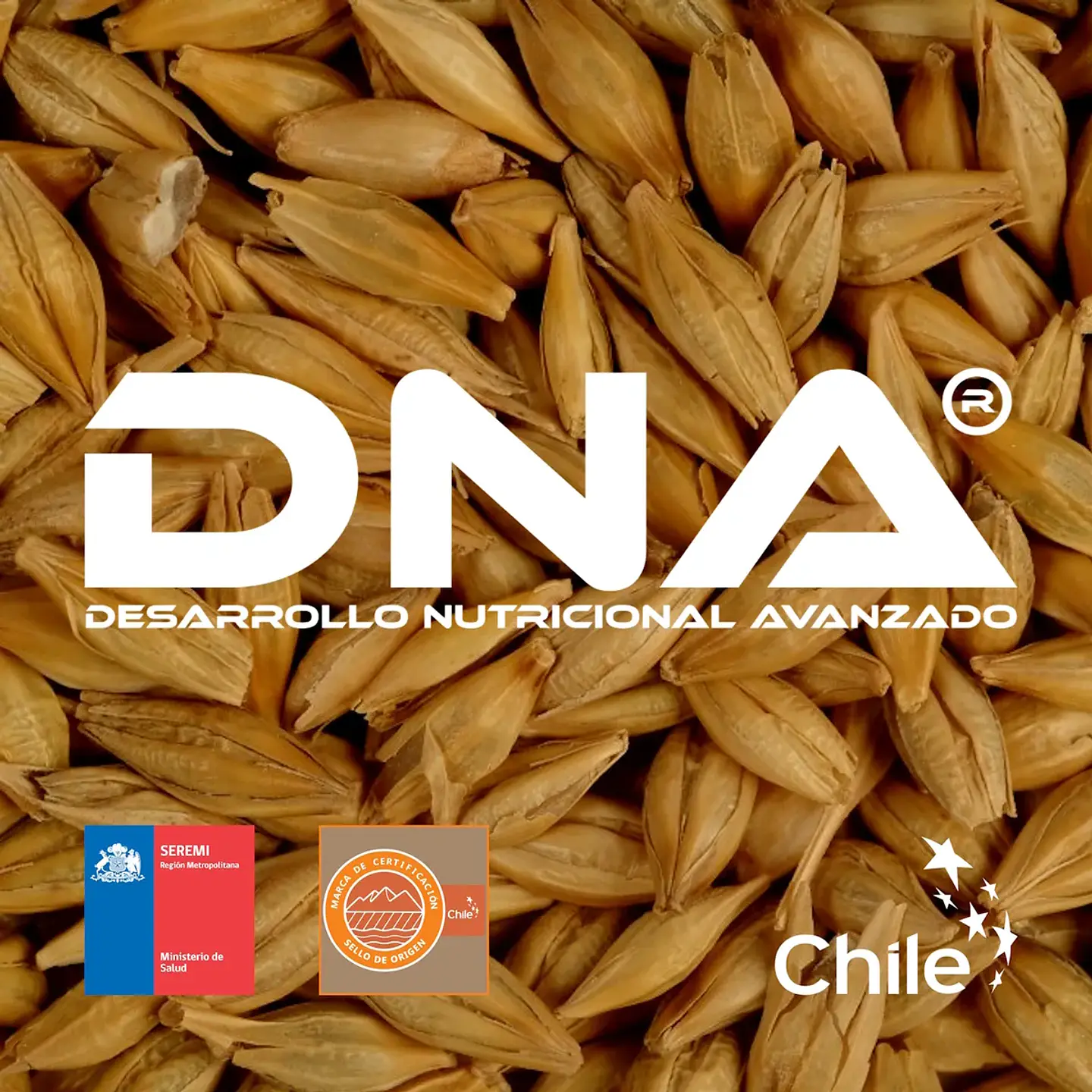 CREATINA DNA® - ABSOLUTAMENTE PURA - POTE - 1KG 2