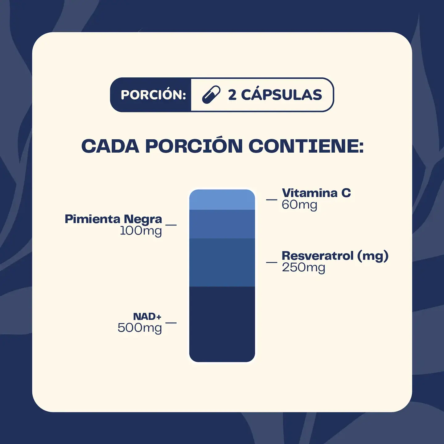 Pack Ashwagandha Y Resveratrol NAD+ 120 Cápsulas Karun Life 2