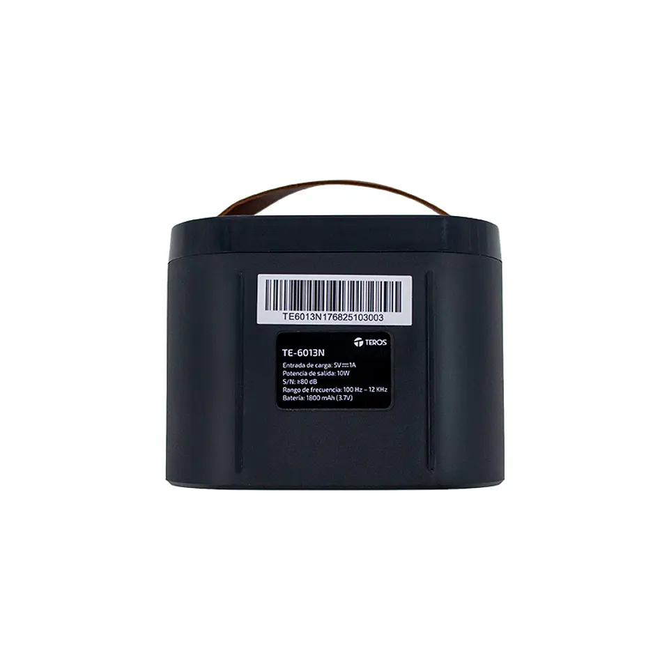Parlante karaoke inalámbrico TEROS TE-6013N, BT 5.4, 10W, 1800mAh, USB, Luces LED 5