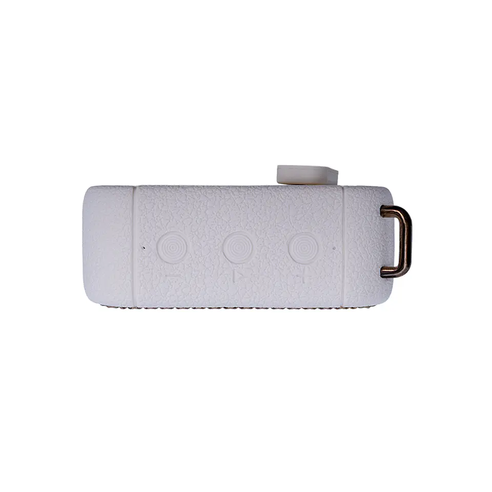 Parlante inalámbrico TEROS Legacy LEG-6051BG, BT 5.3, 8W, 1500 mAh, USB 2