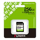 Memoria Card SD Kingston SD Canvas Select Plus 256GB, categoría de velocidad: UHS-I/U1/V10 - Miniatura 3